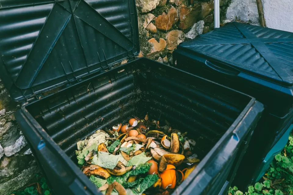 Close-up of food waste inside a black plastic compost bin.